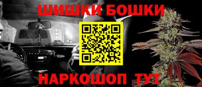 стаф Можга