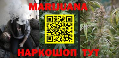 стаф Можга