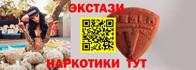 стаф Можга