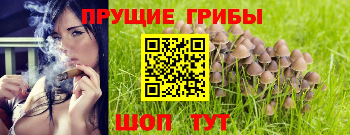 магазин продажи наркотиков  Галлюциногенные грибы Magic Shrooms  Вход с VPN  Димитровград 